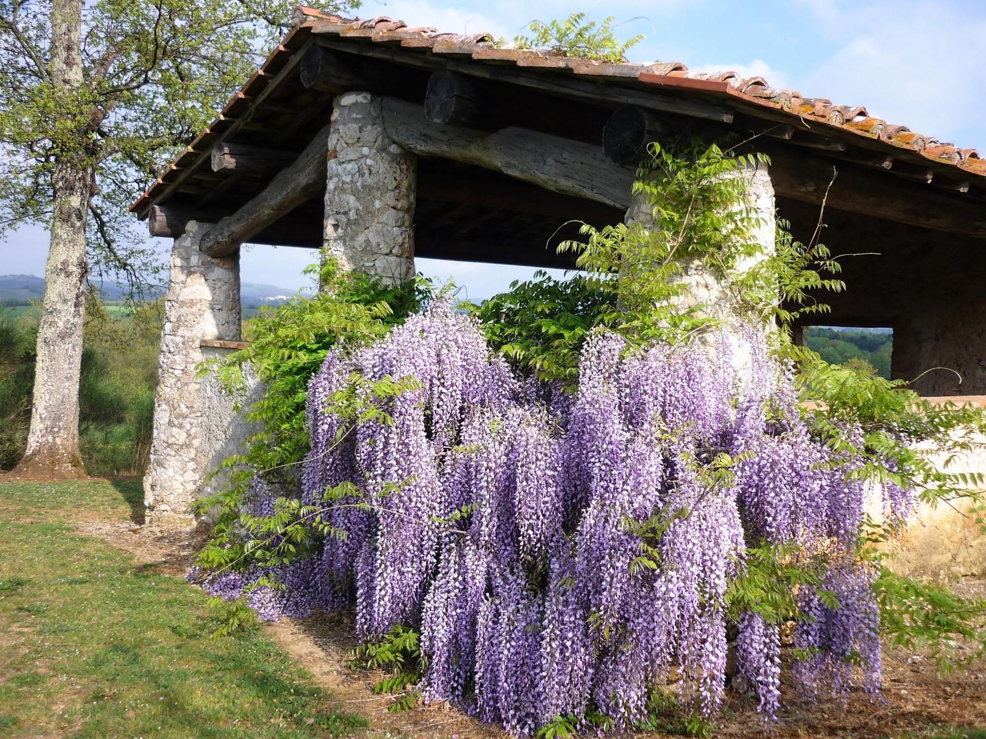 Fattoria Agriturismo Nerbona Casole dʼElsa Exterior foto