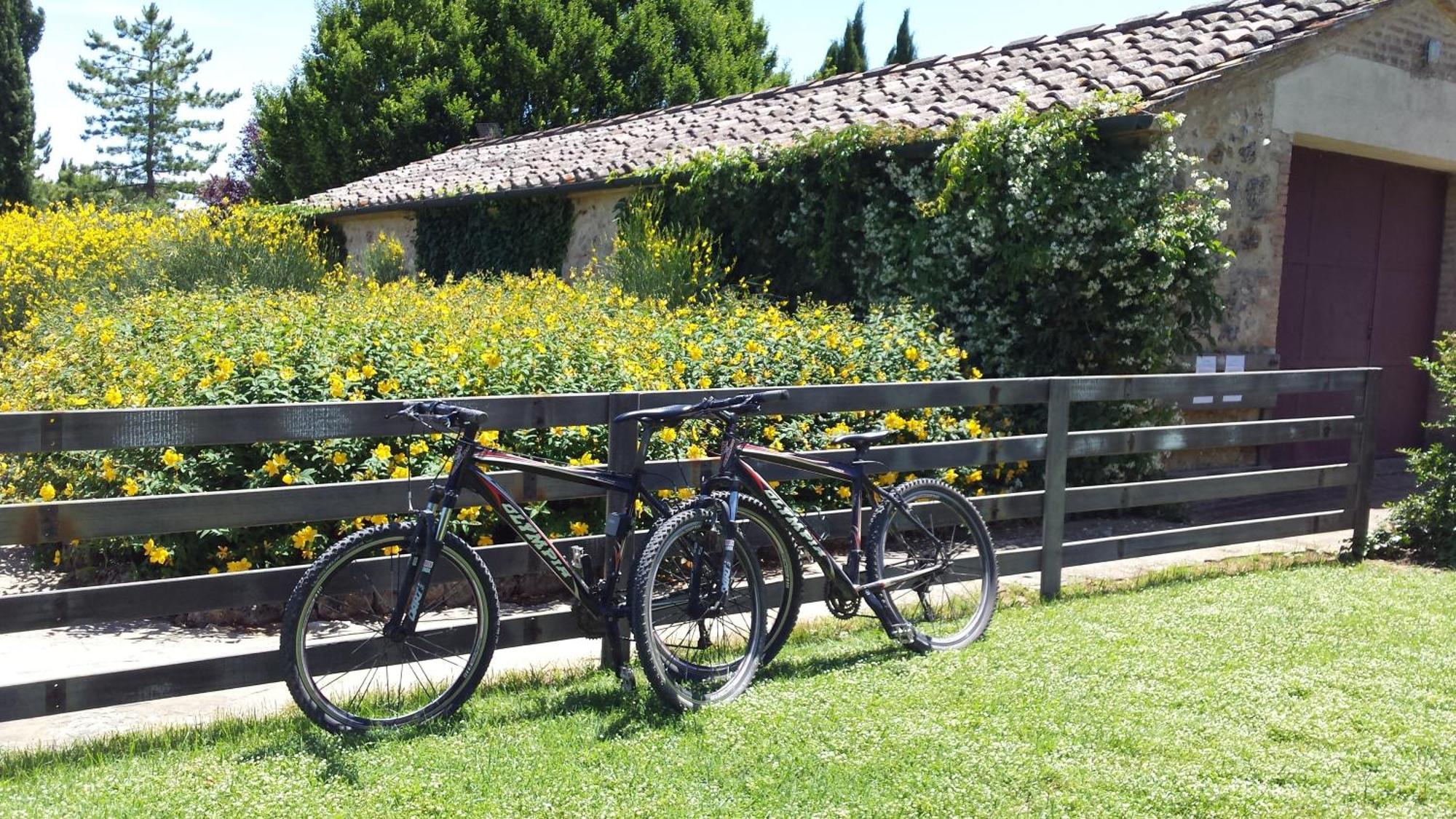Fattoria Agriturismo Nerbona Casole dʼElsa Exterior foto
